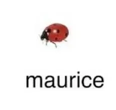 maurice