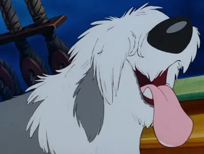 Max The Dog