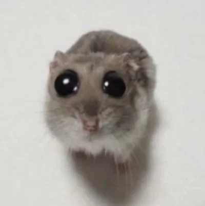 meep