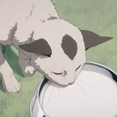 Meowy