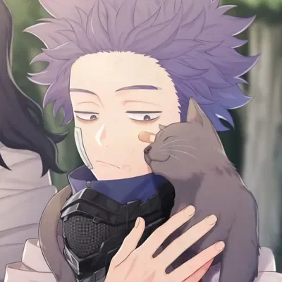 MHA - Hitoshi Shinso