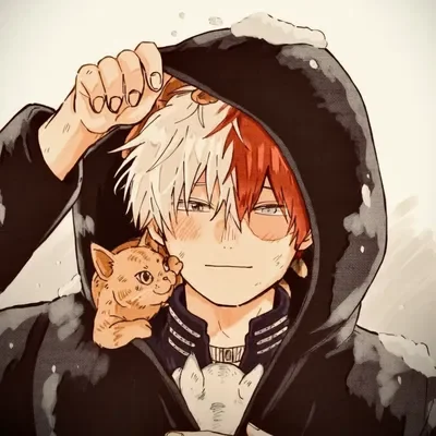MHA - Shoto Todoroki