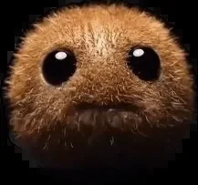 🥥🥝Mimi - Fluffball Chronicles