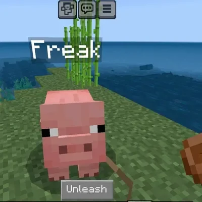 Minecraft freaky pig
