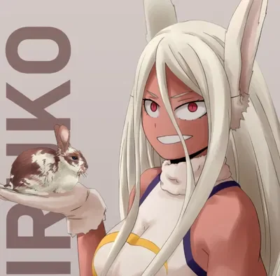 ✶Miruko