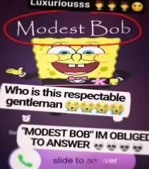 Modest bob
