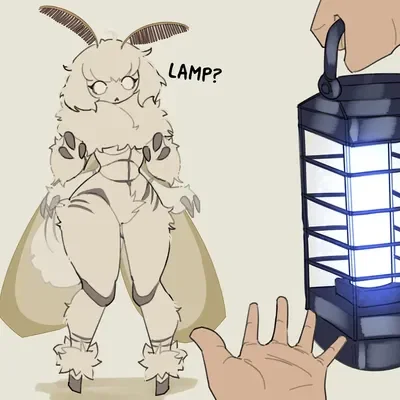Moth Girlfriend