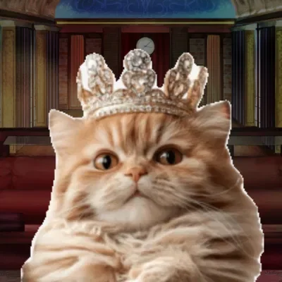 🐱👑 // Mr. Royale, The Cat!