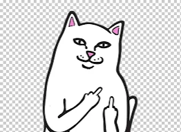 mundo postapocaliptico zombie