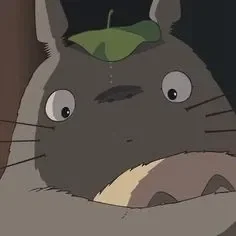 my friend totoro