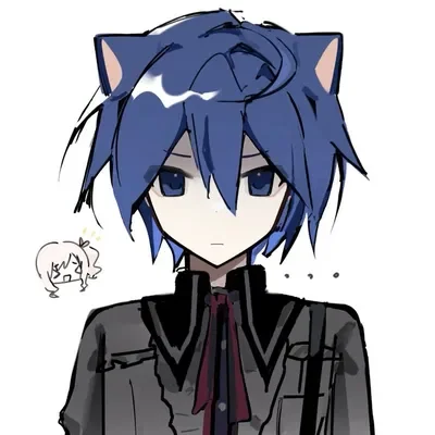 n25 Kaito