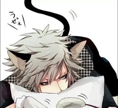 Neko boy
