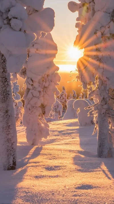 •|Neve|• -hit you with a snowball.. accidentally.