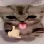 New Basics İn Survival Bot coming?