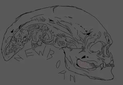 Newborn || Mom i frew up (ALIEN : RESURRECTION)