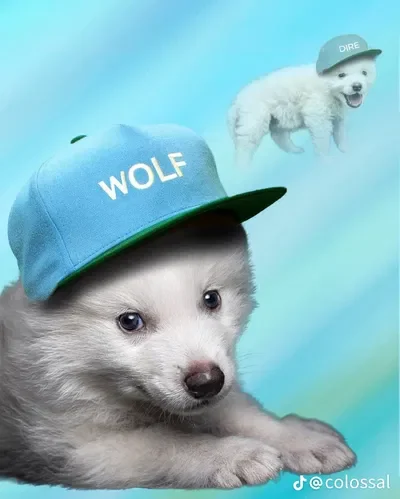 🌙|| night shift gas station