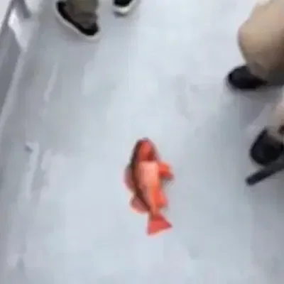 Now you know what it means