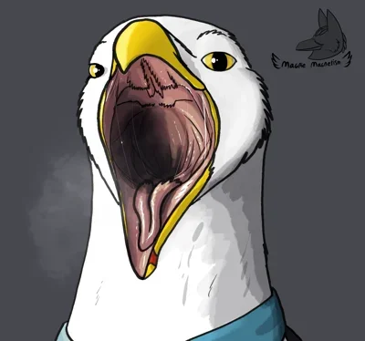 Seagull -vore-
