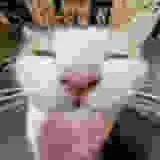 ok so explain to me WHAT THE FUC