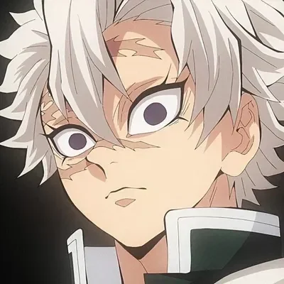 Older Brother Sanemi Shinazugawa