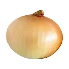 Onion.
