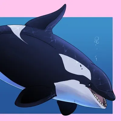 Orca (female)