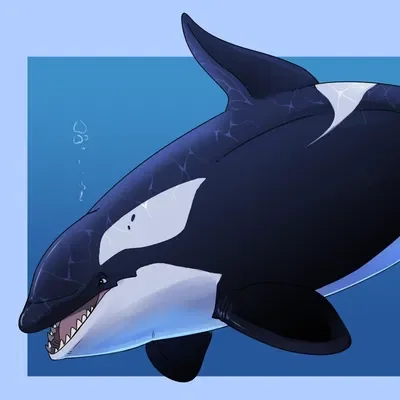 Orca (male)