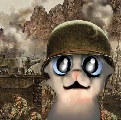 other fandom bot requests