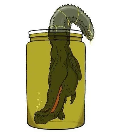 Own a deviljho or some shit idk