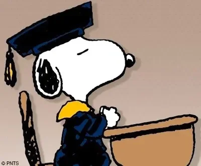 Peanuts - 1950s School Life