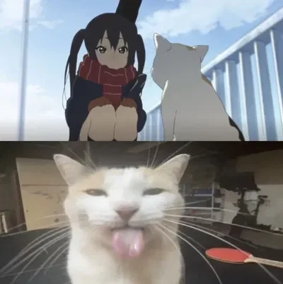 Personality Format &  can you beat my score?