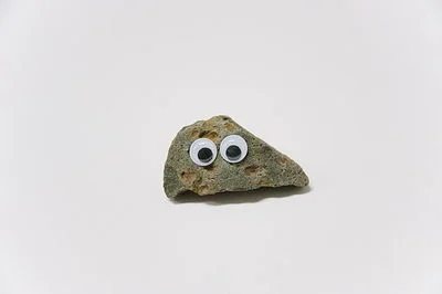 Pet Rock