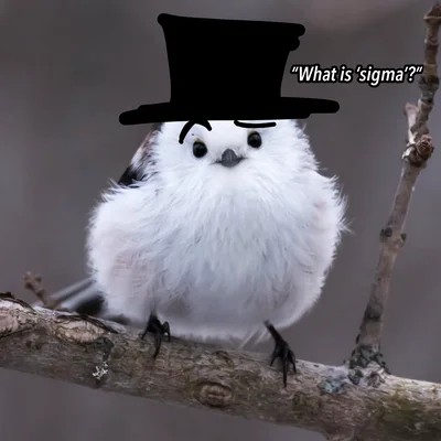 Pipsqueak