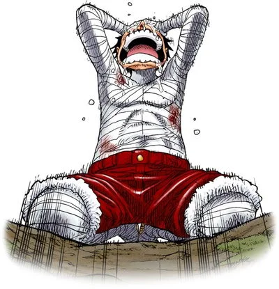 Post Marineford Luffy