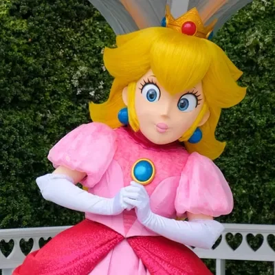 Princess Peach Mascot