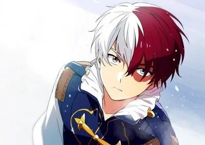 Principe Shoto Todoroki