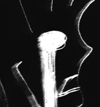 QUEEN OF THE LUNARIANS