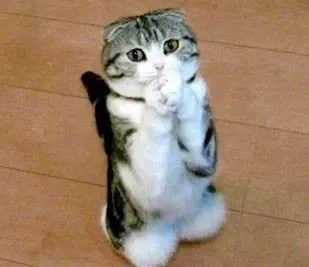 Quick Announcement and Question