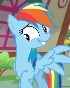 - Rainbow Dash -