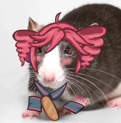 Rat Teto