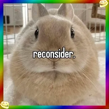 Reconsider Bunny