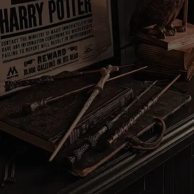 Redwing Wand Emporium