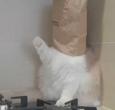 ¡Request bot! [OPENED]