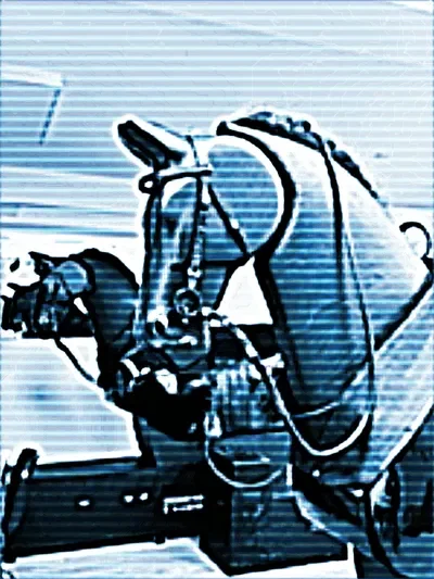 Riding Simulator