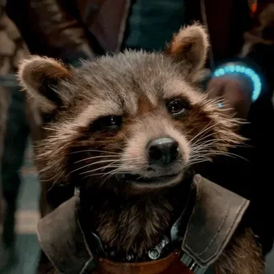 rocket raccoon