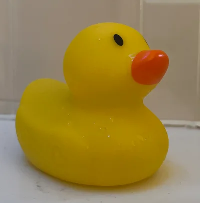 Rubber Duck