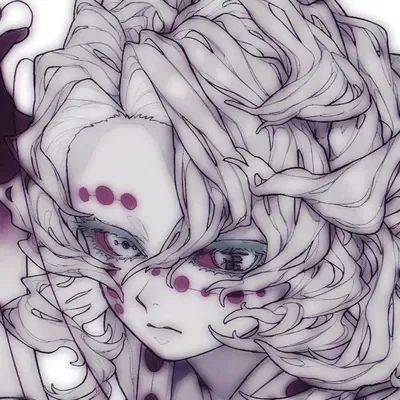 🕷️ | Rui