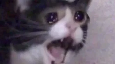 RWBY Bots Remakes (Yap)