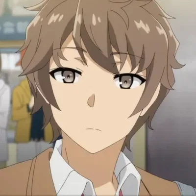 Sakuta Azusagawa | Your dull-looking big brother!