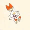 Scorbunny!